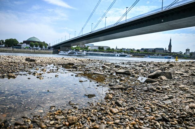 Dürre zeigt Folgen Rhein führt kaum noch Wasser, Sandbänk, Der Rhein führt aufgrund anhaltender Trockenheit und ausbleibender Niederschläge außergewöhnlich wenig Wasser. Große Teile des Flussbetts sind bei Düsseldorf freigelegt, Sand- und Kiesflächen treten deutlich hervor. Das Niedrigwasser beeinträchtigt die Schifffahrt und verdeutlicht die Auswirkungen der langanhaltenden Trockenperiode. Düsseldorf Nordrhein-Westfalen Deutschland Düsseldorf *** Drought Takes Its Toll: The Rhine Is Running Almost Dry, Sandbanks, Due to the ongoing drought and lack of rainfall, the Rhine is carrying an unusually low volume of water. Large sections of the riverbed near Düsseldorf are exposed, with areas of sand and gravel clearly visible. T Copyright: x xonw-imagesx xPhilippxAndrÃ x