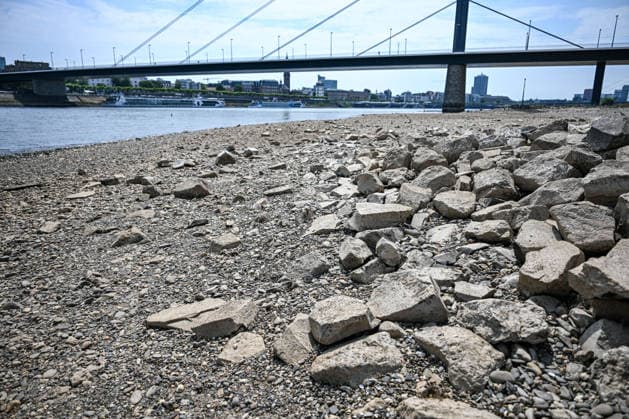 Dürre zeigt Folgen Rhein führt kaum noch Wasser, Sandbänk, Der Rhein führt aufgrund anhaltender Trockenheit und ausbleibender Niederschläge außergewöhnlich wenig Wasser. Große Teile des Flussbetts sind bei Düsseldorf freigelegt, Sand- und Kiesflächen treten deutlich hervor. Das Niedrigwasser beeinträchtigt die Schifffahrt und verdeutlicht die Auswirkungen der langanhaltenden Trockenperiode. Düsseldorf Nordrhein-Westfalen Deutschland Düsseldorf *** Drought Takes Its Toll: The Rhine Is Running Almost Dry, Sandbanks, Due to the ongoing drought and lack of rainfall, the Rhine is carrying an unusually low volume of water. Large sections of the riverbed near Düsseldorf are exposed, with areas of sand and gravel clearly visible. T Copyright: x xonw-imagesx xPhilippxAndrÃ x