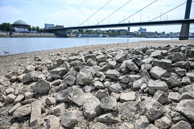 Dürre zeigt Folgen Rhein führt kaum noch Wasser, Sandbänk, Der Rhein führt aufgrund anhaltender Trockenheit und ausbleibender Niederschläge außergewöhnlich wenig Wasser. Große Teile des Flussbetts sind bei Düsseldorf freigelegt, Sand- und Kiesflächen treten deutlich hervor. Das Niedrigwasser beeinträchtigt die Schifffahrt und verdeutlicht die Auswirkungen der langanhaltenden Trockenperiode. Düsseldorf Nordrhein-Westfalen Deutschland Düsseldorf *** Drought Takes Its Toll: The Rhine Is Running Almost Dry, Sandbanks, Due to the ongoing drought and lack of rainfall, the Rhine is carrying an exceptionally low volume of water. Large sections of the riverbed near Düsseldorf are exposed, with areas of sand and gravel clearly visibl Copyright: x xonw-imagesx xPhilippxAndrÃ x