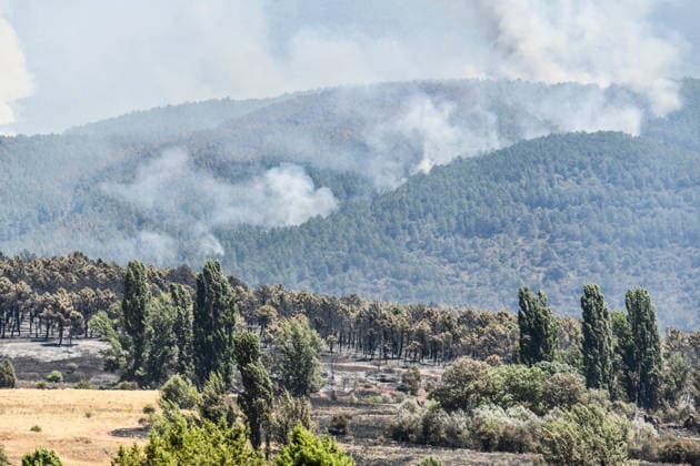 Four More Towns Evacuated Due to the La Mierla Fire, Which Has Reached the Heart of the Sierra Norte Natural Park A column of smoke is visible in the distance on July 17, 2026, in La Mierla, Guadalajara, Castilla-La Mancha, Spain. The spread of the fire that broke out on Thursday, July 16, in the Guadalajara town of La Mierla has led the Government of Castilla-La Mancha to order the evacuation of the towns of Almiruete, Palancares, Semillas, and La Nava de Jadraque. JULY 17, 2026 Rafael Martí La Mierla, Guadalajara, Castile La Mierla, Guadalajara, Castile, Spain  Copyright: xRafaelxMartinx 7670440