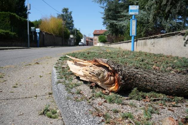 Storms leave 2 dead, 53,000 households without power in France SAINT-ETIENNE, FRANCE - JULY 17: A view of the destruction after violent thunderstorms swept across Saint-Etienne, France on July 17, 2026. The storm has pulled down trees, sparked fires and left tens of thousands of homes without power. Meteo-France had warned of violent storms with intense lightning activity and wind gusts of more than 120 kilometres per hour. Around 30 departments across central and eastern France were placed on orange alert during the evening. Two people were killed and around 53,000 households were left without electricity after severe thunderstorms swept across several regions of France overnight, Franceinfo reported on Friday. Mathieu Prudhomme Anadolu  Copyright: x2026xAnadoluxMathieuxPrudhommex
