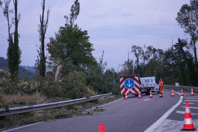 Storms leave 2 dead, 53,000 households without power in France SAINT-ETIENNE, FRANCE - JULY 17: A view of the destruction after violent thunderstorms swept across Saint-Etienne, France on July 17, 2026. The storm has pulled down trees, sparked fires and left tens of thousands of homes without power. Meteo-France had warned of violent storms with intense lightning activity and wind gusts of more than 120 kilometres per hour. Around 30 departments across central and eastern France were placed on orange alert during the evening. Two people were killed and around 53,000 households were left without electricity after severe thunderstorms swept across several regions of France overnight, Franceinfo reported on Friday. Mathieu Prudhomme Anadolu  Copyright: x2026xAnadoluxMathieuxPrudhommex