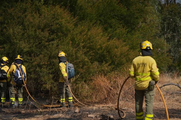 A wildfire has been reported in Camas, Seville, mobilizing firefighters from four stations. INFOCA personnel are working to extinguish a fire that broke out in Camas, Seville. On July 17, 2026, in Camas, Seville, Andalusia, Spain A wildfire broke out on the afternoon of Friday, July 17, in the El Carambolo area within the municipality of Camas, Seville. The fire required the intervention of Infoca personnel and firefighters from four stations in the province, who have had to work to protect nearby homes due to the magnitude of the fire. July 17, 2026 María José Ló Camas, Seville, Andalusia, Spain Camas, Seville, Andalusia, Spain Spain  Copyright: xMariaxJosÃ xLopezx 7670644