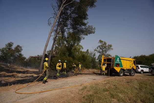 A wildfire has been reported in Camas, Seville, mobilizing firefighters from four stations. INFOCA personnel are working to extinguish a fire that broke out in Camas, Seville. On July 17, 2026, in Camas, Seville, Andalusia, Spain A wildfire broke out on the afternoon of Friday, July 17, in the El Carambolo area within the municipality of Camas, Seville. The fire required the intervention of Infoca personnel and firefighters from four stations in the province, who have had to work to protect nearby homes due to the magnitude of the fire. July 17, 2026 María José Ló Camas, Seville, Andalusia, Spain Camas, Seville, Andalusia, Spain Spain  Copyright: xMariaxJosÃ xLopezx 7670647