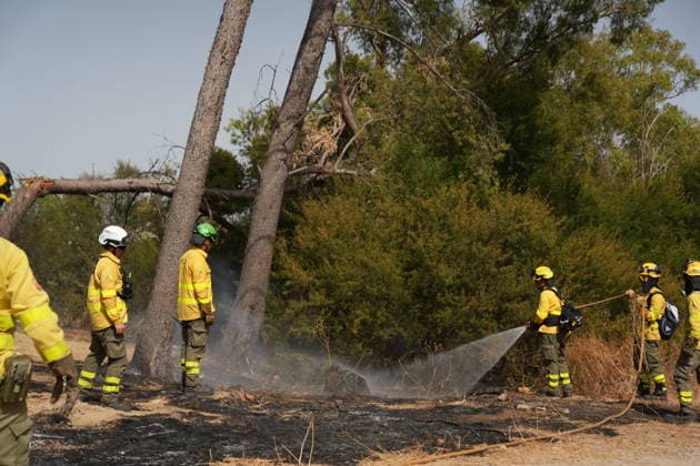 A wildfire has been reported in Camas, Seville, mobilizing firefighters from four stations. INFOCA personnel are working to extinguish a fire that broke out in Camas, Seville. On July 17, 2026, in Camas, Seville, Andalusia, Spain A wildfire broke out on the afternoon of Friday, July 17, in the El Carambolo area within the municipality of Camas, Seville. The fire required the intervention of Infoca personnel and firefighters from four stations in the province, who have had to work to protect nearby homes due to the magnitude of the fire. July 17, 2026 María José Ló Camas, Seville, Andalusia, Spain Camas, Seville, Andalusia, Spain Spain  Copyright: xMariaxJosÃ xLopezx 7670649