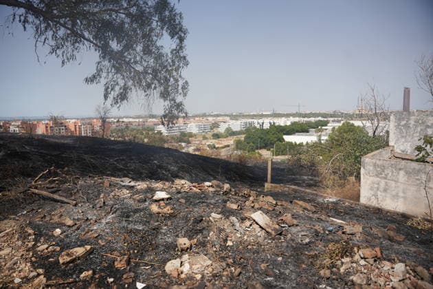 Forest Fire Reported in Camas, Seville, Mobilizing Firefighters from Four Stations Forest Fire Reported in Camas, Seville July 17, 2026, in Camas, Seville, Andalusia, Spain A forest fire was reported on the afternoon of Friday, July 17, in the El Carambolo area within the municipality of Camas, Seville. The fire has required the intervention of personnel from the Infoca Plan and firefighters from four stations in the province, who had to work to protect nearby homes due to the magnitude of the fire. JULY 17, 2026 María José Ló Camas, Seville, Andalusia, Spain Camas, Seville, Andalusia, Spain Spain  Copyright: xMariaxJosÃ xLopezx 7670661
