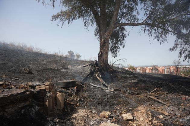 Forest Fire Reported in Camas, Seville, Mobilizing Firefighters from Four Stations Forest Fire Reported in Camas, Seville July 17, 2026, in Camas, Seville, Andalusia, Spain A forest fire was reported on the afternoon of Friday, July 17, in the El Carambolo area within the municipality of Camas, Seville. The fire has required the intervention of personnel from the Infoca Plan and firefighters from four stations in the province, who had to work to protect nearby homes due to the magnitude of the fire. JULY 17, 2026 María José Ló Camas, Seville, Andalusia, Spain Camas, Seville, Andalusia, Spain Spain  Copyright: xMariaxJosÃ xLopezx 7670662