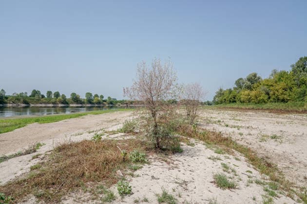 IPA86759850 - LINAROLO (PAVIA), July 17, 2026 - The bed of the Po River, 3 meters below the standard hydrometric level, beneath the Becca Bridge in Linarolo.  Copyright: xEmanuelexRobertoxDexCarlix xx 86759850