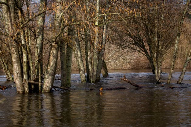 CHILE: Heavy Rain And Strong Winds. Rising water levels in the Damas River following heavy rains in the Lakes Region in Osorno, Chile, on July 17, 2026. Osorno Chile  Copyright: xFernandoxLavozx originalFilename: lavoz-notitle260717_npCnb.jpg