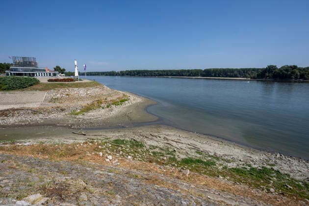 Croatia Low Water Levels A view of the low water levels on the Vuka River near Vukovar, Croatia on July 18, 2026.  DavorxJavorovic PIXSELL