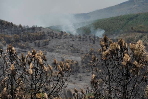 More than 300 firefighters are working to extinguish the fire in La Mierla, Guadalajara. Area of forest burned by the fire, as of July 18, 2026, in La Mierla, Guadalajara, Castilla-La Mancha, Spain. The fire remains active on several fronts and is advancing toward the municipality of Semillas, has forced the evacuation of 529 residents from eleven municipalities, and has already destroyed 3,483 hectares. JULY 18, 2026 FOREST FIRE La Mierla, Guadalajara, Castile La Mierla, Guadalajara, Castile, Spain  Copyright: xMateoxLanzuelax 7672932