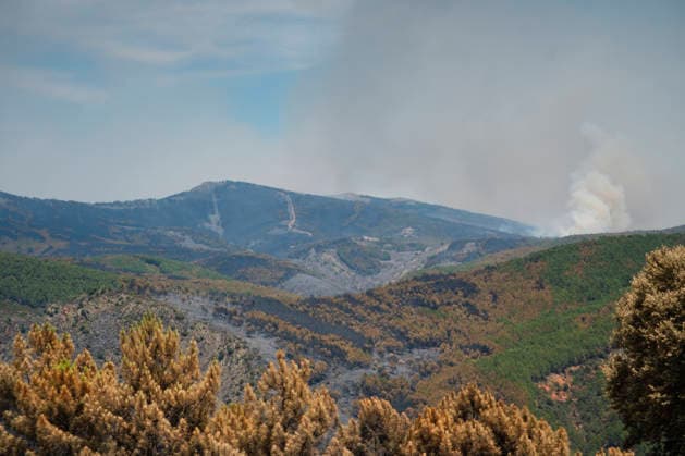 More than 300 firefighters are working to extinguish the fire in La Mierla, Guadalajara. Area of forest burned by the fire, as of July 18, 2026, in La Mierla, Guadalajara, Castilla-La Mancha, Spain. The fire remains active on several fronts and is advancing toward the municipality of Semillas, has forced the evacuation of 529 residents from eleven municipalities, and has already destroyed 3,483 hectares. JULY 18, 2026 FOREST FIRE La Mierla, Guadalajara, Castile La Mierla, Guadalajara, Castile, Spain  Copyright: xMateoxLanzuelax 7672935