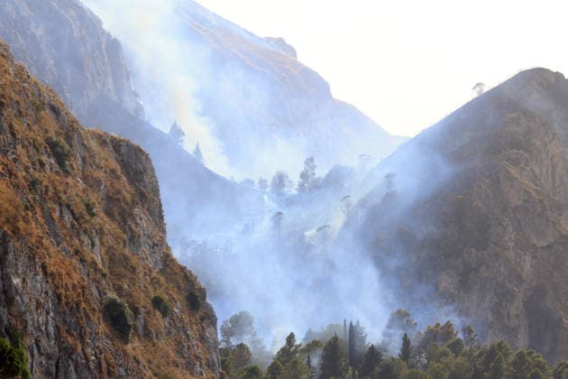 Forest fires continue on the Italian island of Sicily PALERMO, ITALY - JULY 18: Smoke rises from a forest fire spreading across the slopes of Mount Iato near Palermo on the island of Sicily, Italy, on July 18, 2026, as ground and air crews continue their efforts to contain the blaze. Forest fires breaking out at various points on the island are continuing. Alberto Lo Bianco Anadolu Palermo Italy. Editorial use only. Please get in touch for any other usage.  Copyright: x2026xAnadoluxAlbertoxLoxBiancox