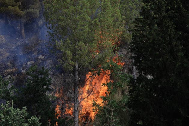 Forest fires continue on the Italian island of Sicily PALERMO, ITALY - JULY 18: Smoke and flames rise from a forest fire spreading across the slopes of Mount Iato near Palermo on the island of Sicily, Italy, on July 18, 2026, as ground and air crews continue their efforts to contain the blaze. Forest fires breaking out at various points on the island are continuing. Alberto Lo Bianco Anadolu Palermo Italy. Editorial use only. Please get in touch for any other usage.  Copyright: x2026xAnadoluxAlbertoxLoxBiancox