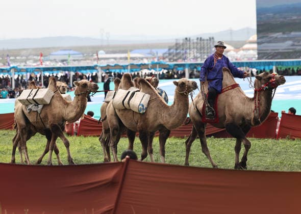 XILINGOL, CHINA - JULY 18: General view of the opening ceremony of the 36th Naadam festival on July 18, 2026 in Xilingol League, Inner Mongolia Autonomous Region of China. The Naadam festival kicked off here on July 18. Naadam, usually held in mid-summer and sometimes in winter in pastoral areas of Inner Mongolia, means games in the Mongolian language. It often comprises wrestling, archery, and horse racing, also known as the Three Games of Men.  Copyright: xVCGx 111655158208