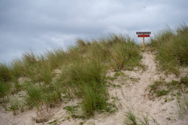 Hörnum auf Sylt 19.07.2026, Hörnum --- Ein Schild markiert ein Schutzgebiet in den Dünen von Hörnum auf Sylt. Besucher sollen die empfindliche Natur nicht betreten. Hörnum Schleswig-Holstein Deutschland *** Hörnum on Sylt, July 19, 2026. A sign marks a protected area in the dunes of Hörnum on Sylt. Visitors are asked not to enter this sensitive natural area. Hörnum, Schleswig-Holstein, Germany