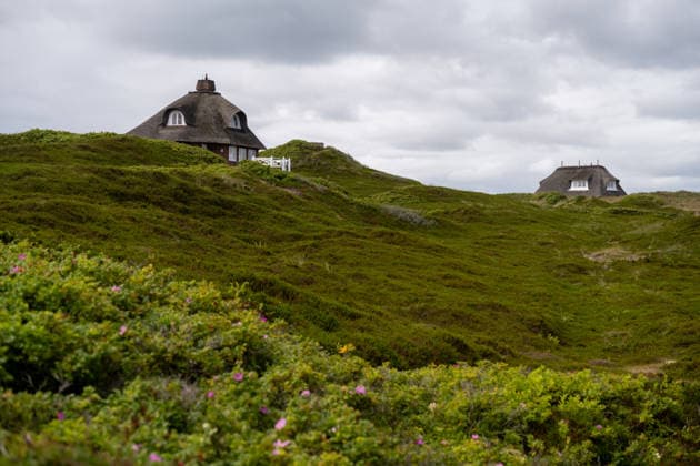 Hörnum auf Sylt 19.07.2026, Hörnum --- Reetgedeckte Häuser verteilen sich in der Dünenlandschaft von Hörnum auf Sylt. Die Siedlung fügt sich in die Küstenlandschaft ein. Hörnum Schleswig-Holstein Deutschland *** Hörnum on Sylt, July 19, 2026; thatched-roof houses are scattered throughout the dune landscape of Hörnum on Sylt. The settlement blends seamlessly into the coastal landscape. Hörnum, Schleswig-Holstein, Germany
