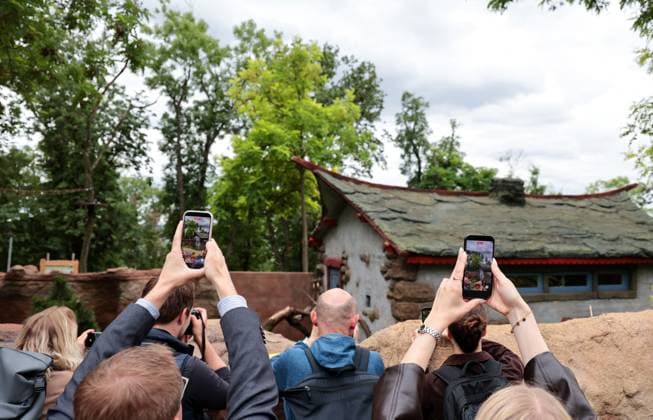 Thueringer Zoopark Erfurt 20.07.2026, Erfurt, Thueringer Zoopark, Eroeffnung der neuen Anlage der Roten Pandas und Stachelschweine im Bild: mit Handys und Kameras warten alle ungeduldig auf das Herauskommen des Pandas Lilli *** Thuringian Zoopark, Erfurt, July 20, 2026; Erfurt, Thuringian Zoopark: At the opening of the new red panda and porcupine enclosure, everyone is waiting impatiently—with cell phones and cameras in hand—for Lilli the panda to come out.