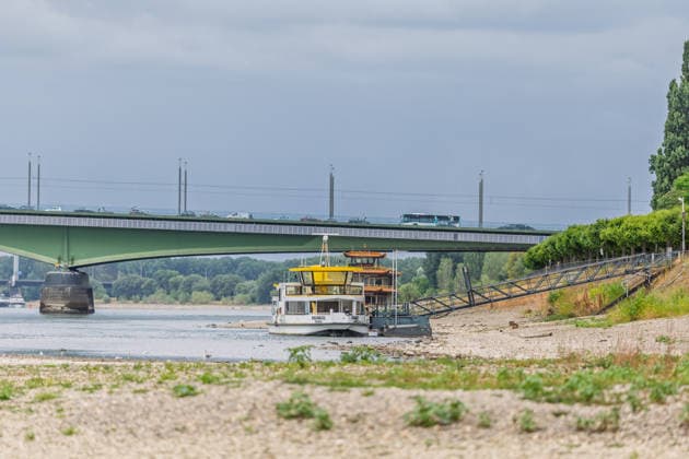 Niedrigwasser am Rhein in Bonn-Beuel Niedrigwasser am Rhein: Bei einem Pegelstand von 125 cm am Pegel Bonn liegt das Flussbett am Beueler Rheinufer bis auf die tiefer liegende Fahrrinne trocken. Blick nach Norden auf die stark befahrene Kennedybrücke, im Hintergrund die gesperrte Nordbrücke (Friedrich-Ebert-Brücke). Bonn Beuel Nordrhein-Westfalen Deutschland *** Low Water Levels on the Rhine in Bonn-Beuel Low Water Levels on the Rhine With the water level at the Bonn gauge station at 125 cm, the riverbed on the Beuel side of the Rhine is dry except for the lower-lying navigation channel; view looking north toward the heavily trafficked Kennedy Bridge, with the closed Nordbrücke in the background. Friedrich Ebert Bridge, Bonn-Beuel, North Copyright: xMarcxJohnx