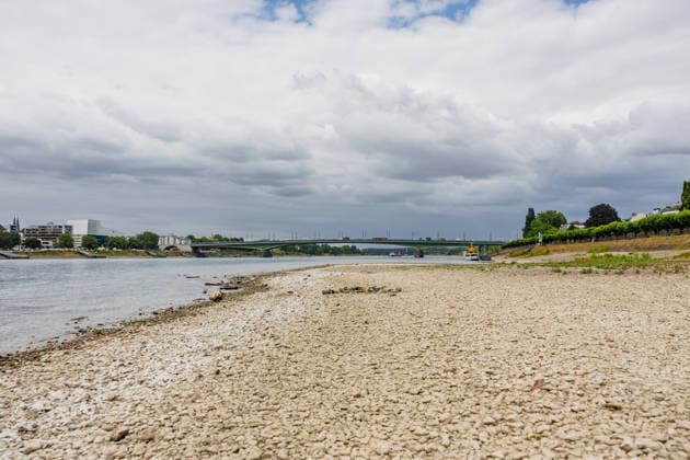Niedrigwasser am Rhein in Bonn-Beuel Niedrigwasser am Rhein: Bei einem Pegelstand von 125 cm am Pegel Bonn liegt das Flussbett am Beueler Rheinufer bis auf die tiefer liegende Fahrrinne trocken. Blick nach Norden auf die stark befahrene Kennedybrücke, im Hintergrund die gesperrte Nordbrücke (Friedrich-Ebert-Brücke). Bonn Beuel Nordrhein-Westfalen Deutschland *** Low Water Levels on the Rhine in Bonn-Beuel Low Water Levels on the Rhine With the water level at the Bonn gauge station at 125 cm, the riverbed on the Beuel side of the Rhine is dry except for the lower-lying navigation channel; view looking north toward the heavily trafficked Kennedy Bridge, with the closed Nordbrücke in the background. Friedrich Ebert Bridge, Bonn-Beuel, North Copyright: xMarcxJohnx
