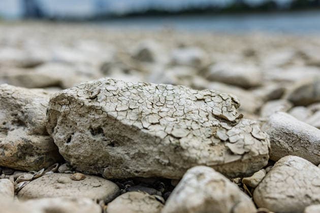 Niedrigwasser am Rhein vor dem UN Campus in Bonn Niedrigwasser am Rhein: Bei einem Pegelstand von 125 cm am Pegel Bonn liegt das Flussbett bis auf die tiefer liegende Fahrrinne trocken. Bonn Beuel Nordrhein-Westfalen Deutschland *** Low water levels on the Rhine in front of the UN Campus in Bonn Low water levels on the Rhine With the water level at the Bonn gauge station at 125 cm, the riverbed is dry except for the lower-lying navigation channel Bonn Beuel North Rhine-Westphalia Germany Copyright: xMarcxJohnx