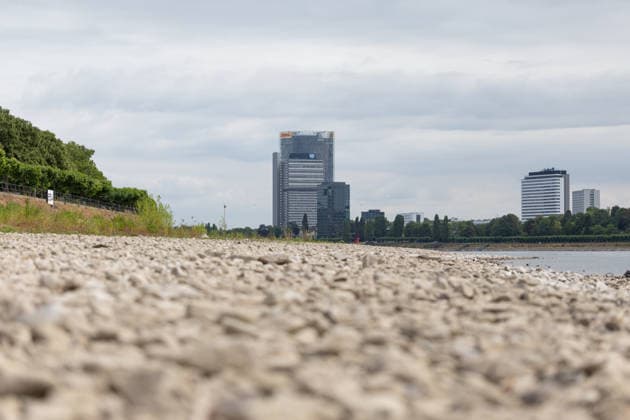 Niedrigwasser am Rhein vor dem UN Campus in Bonn Niedrigwasser am Rhein: Bei einem Pegelstand von 125 cm am Pegel Bonn liegt das Flussbett bis auf die tiefer liegende Fahrrinne trocken. Im Hintergrund das Hochhaus-Ensemble aus Post Tower, Langer Eugen und Climate Tower auf dem UN Campus, wo das Sekretariat der UN-Klimarahmenkonvention UNFCCC über den globalen Klimaschutz verhandelt. Bonn Beuel Nordrhein-Westfalen Deutschland *** Low Water Levels on the Rhine in Front of the UN Campus in Bonn Low Water Levels on the Rhine With the water level at 125 cm at the Bonn gauge, the riverbed is dry except for the lower-lying navigation channel. In the background is the high-rise complex consisting of the Post Tower, Langer Eugen, and Climate Tower Copyright: xMarcxJohnx