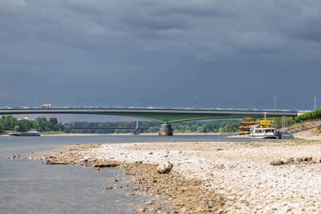Niedrigwasser am Rhein in Bonn-Beuel Niedrigwasser am Rhein: Bei einem Pegelstand von 125 cm am Pegel Bonn liegt das Flussbett am Beueler Rheinufer bis auf die tiefer liegende Fahrrinne trocken. Blick nach Norden auf die stark befahrene Kennedybrücke, im Hintergrund die gesperrte Nordbrücke (Friedrich-Ebert-Brücke). Bonn Beuel Nordrhein-Westfalen Deutschland *** Low Water Levels on the Rhine in Bonn-Beuel Low Water Levels on the Rhine With the water level at the Bonn gauge station at 125 cm, the riverbed on the Beuel side of the Rhine is dry except for the lower-lying navigation channel; view looking north toward the heavily trafficked Kennedy Bridge, with the closed Nordbrücke in the background. Friedrich Ebert Bridge, Bonn-Beuel, North Copyright: xMarcxJohnx