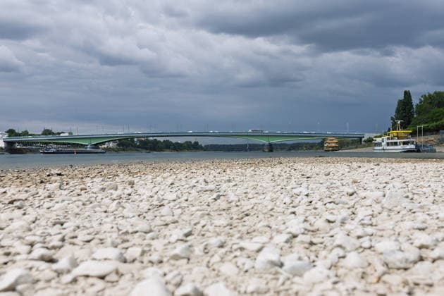 Niedrigwasser am Rhein in Bonn-Beuel Niedrigwasser am Rhein: Bei einem Pegelstand von 125 cm am Pegel Bonn liegt das Flussbett am Beueler Rheinufer bis auf die tiefer liegende Fahrrinne trocken. Blick nach Norden auf die stark befahrene Kennedybrücke, im Hintergrund die gesperrte Nordbrücke (Friedrich-Ebert-Brücke). Bonn Beuel Nordrhein-Westfalen Deutschland *** Low Water Levels on the Rhine in Bonn-Beuel Low Water Levels on the Rhine With the water level at the Bonn gauge station at 125 cm, the riverbed on the Beuel side of the Rhine is dry except for the lower-lying navigation channel; view looking north toward the heavily trafficked Kennedy Bridge, with the closed Nordbrücke in the background. Friedrich Ebert Bridge, Bonn-Beuel, North Copyright: xMarcxJohnx