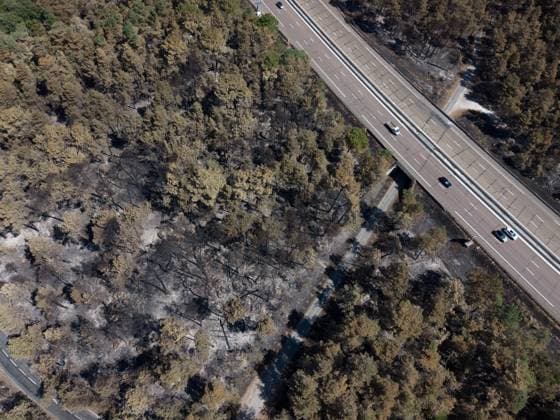 FONTAINEBLEAU FIRE PHOTOPQR LE PARISIEN Le Parisien Arnaud Journois FONTAINEBLEAU July 20, 2026 Fontainebleau Forest, Seine-et-Marne, on July 20, 2026 Fire in the Fontainebleau Forest near the D64 between the towns of Achères-la-Forêt, Le Vaudoué, and Noisy-sur-École Photo: Le Parisien, Arnaud Journois Devastated forest in Fontainebleau, France, on July 20, 2026 FONTAINEBLEAU, France  Copyright: xPHOTOPQR LExPARISIEN MAXPPPxLexParisienx xArnaudxJournoisx 20260720LPA0624 20260720LPA0624