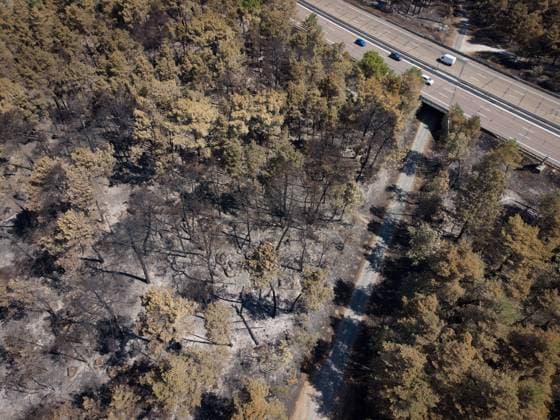 FONTAINEBLEAU FIRE PHOTOPQR LE PARISIEN Le Parisien Arnaud Journois FONTAINEBLEAU July 20, 2026 Fontainebleau Forest, Seine-et-Marne, on July 20, 2026 Fire in the Fontainebleau Forest near the D64 between the towns of Achères-la-Forêt, Le Vaudoué, and Noisy-sur-École Photo: Le Parisien, Arnaud Journois Devastated forest in Fontainebleau, France, on July 20, 2026 FONTAINEBLEAU, France  Copyright: xPHOTOPQR LExPARISIEN MAXPPPxLexParisienx xArnaudxJournoisx 20260720LPA0625 20260720LPA0625