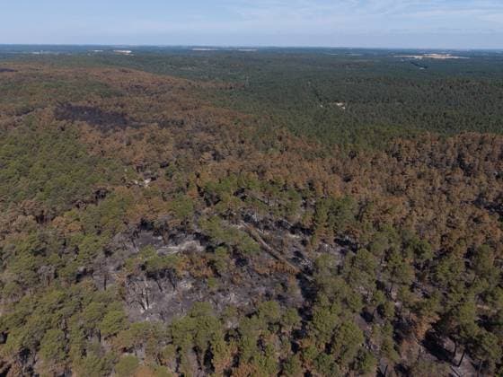 FONTAINEBLEAU FIRE PHOTOPQR LE PARISIEN Le Parisien Arnaud Journois FONTAINEBLEAU July 20, 2026 Fontainebleau Forest, Seine-et-Marne, on July 20, 2026 Fire in the Fontainebleau Forest near the D64 between the towns of Achères-la-Forêt, Le Vaudoué, and Noisy-sur-École Photo: Le Parisien, Arnaud Journois Devastated forest in Fontainebleau, France, on July 20, 2026 FONTAINEBLEAU, France  Copyright: xPHOTOPQR LExPARISIEN MAXPPPxLexParisienx xArnaudxJournoisx 20260720LPA0638 20260720LPA0638
