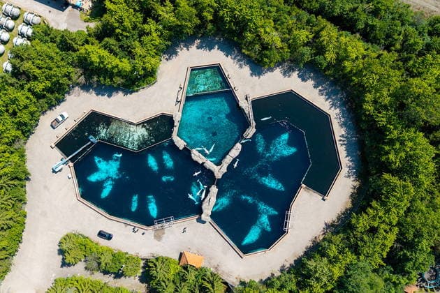 July 20, 2026, Niagara Falls, On, Canada: An aerial view shows the beluga whale pools at Marineland in Niagara Falls, Ont., on Monday, June 29, 2026. Niagara Falls Canada  - ZUMAc35_ 20260720_zaf_c35_015 Copyright: xCarlosxOsoriox