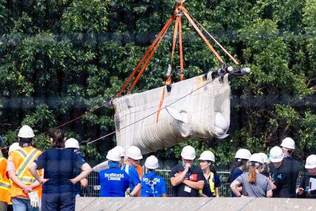 July 20, 2026, Niagara Falls, On, Canada: Beluga whale Sierra is transported by a group of experts from Marineland and several U.S. aquariums onto a truck at Marineland in Niagara Falls, Ont., on Monday, July 20, 2026. Niagara Falls Canada  - ZUMAc35_ 20260720_zaf_c35_035 Copyright: xCarlosxOsoriox
