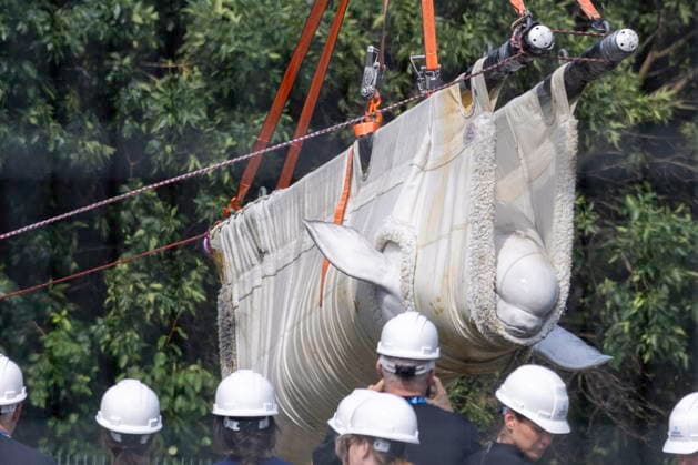 News Bilder des Tages #2 July 20, 2026, Niagara Falls, On, Canada: Beluga whale Sierra is transported by a group of experts from Marineland and several U.S. aquariums onto a truck at Marineland in Niagara Falls, Ont., on Monday, July 20, 2026. Niagara Falls Canada  - ZUMAc35_ 20260720_zaf_c35_040 Copyright: xCarlosxOsoriox