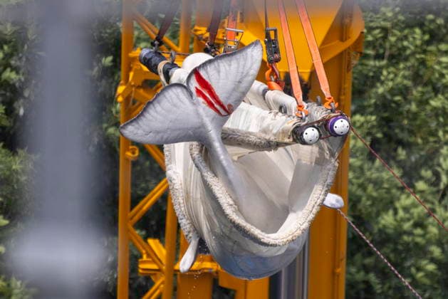 July 20, 2026, Niagara Falls, On, Canada: Beluga whale Sierra is transported by a group of experts from Marineland and several US aquariums onto a truck via a sling at Marineland in Niagara Falls, Ont., Monday, July 20, 2026. Niagara Falls Canada  - ZUMAc35_ 20260720_zaf_c35_047 Copyright: xCarlosxOsoriox