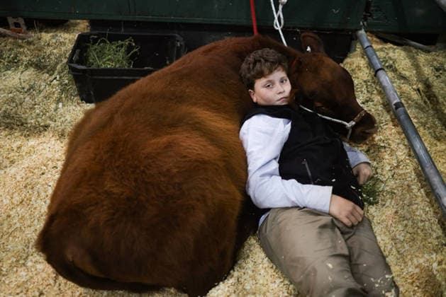 News Bilder des Tages #2 138th Palermo Rural Exhibition 138th Palermo Rural Exhibition Mariana Busse de Cabana Black Diamond FOR EDITORIAL USE ONLY  Copyright: xGDA LaxNacion Argentina-xTodosxlosxderechosxreservados.xProhibidoxelxusoxoxreproducci&oacute;nxdexestaximagenxenxArgentinax PilarxCamachox arlanacionpic066158
