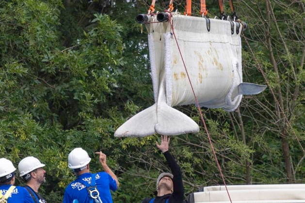 July 20, 2026, Niagara Falls, On, Canada: Beluga whale Frankie is transported by a group of experts from Marineland and several US aquariums onto a truck via a sling at Marineland in Niagara Falls, Ont., on Monday, July 20, 2026. Niagara Falls Canada  - ZUMAc35_ 20260720_zaf_c35_066 Copyright: xCarlosxOsoriox