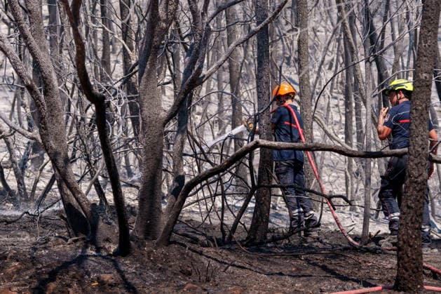 South France suffers from wildfires after another heatwave. France - Les Arcs, 20.07.2026 The firefighters extinct the last embers as wildfires burning near Les Arcs-sur-Argens in southeastern France on Monday. The blaze was one of several wildfires affecting the country during a period of extreme heat, longer lasting drought and strong winds, led to evacuations and a large-scale firefighting response. DÃ partement Var