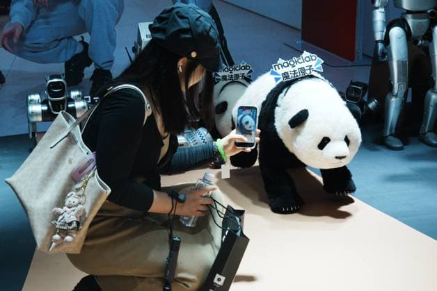SHANGHAI, CHINA - JULY 20: A visitor watches a robot panda by Maoiclab at the 2026 World AI Conference on July 20, 2026 in Shanghai, China. The conference showcases latest advancements in artificial intelligence and robotics technologies.  Copyright: xVCGx 111655410368