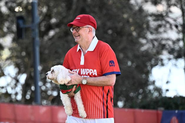 ANTHONY ALBANESE BACKYARD CRICKET, Australian Prime Minister Anthony Albanese and his dog Toto take part in charity backyard cricket match at Kirribilli House, Sydney, Tuesday, July 21, 2026. ( NO ARCHIVING SYDNEY NEW SOUTH WALES AUSTRALIA  Copyright: xDANxHIMBRECHTSx 20260721139610240545