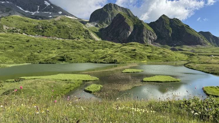 Floating islands and alpine lakes draw nature lovers to Arsiyan Plateau in Artvin ARTVIN, TURKIYE - JULY 21: A view shows lakes surrounded by lush vegetation and floating islands on Arsiyan Plateau in the Savsat district of Artvin, near the Georgian border, on July 21, 2026 in Artvin, Turkiye. Located at elevations ranging from 2,600 to 3,500 meters above sea level, the plateau features around 20 lakes, icy waters and colorful wildflowers, attracting nature lovers with its distinctive landscape. Yusuf Okur Anadolu Artvin Turkey. Editorial use only. Please get in touch for any other usage.  Copyright: x2026xAnadoluxYusufxOkurx