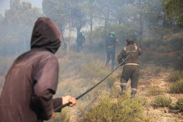 Firefighters battle forest fires in Bouira, Algeria BOUIRA, ALGERIA - JULY 21: Civil defense and firefighting teams battle flames spreading through a forested mountainous area in El Hachimia, Bouira province, on July 21, 2026 in Bouira, Algeria. Crews continue efforts to bring the forest fires under control and prevent the flames from spreading further. Hamza Zait Anadolu Bouira Algeria. Editorial use only. Please get in touch for any other usage.  Copyright: x2026xAnadoluxHamzaxZaitx