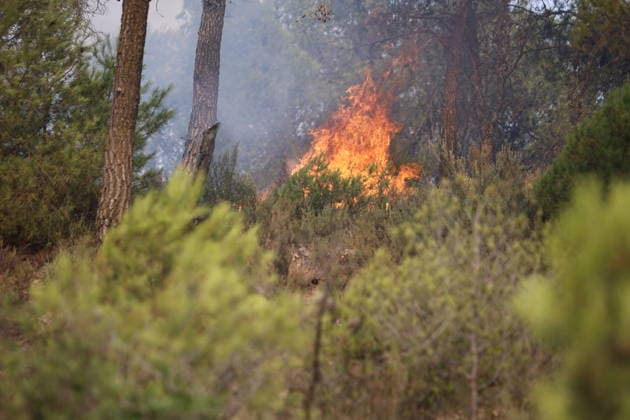 Firefighters battle forest fires in Bouira, Algeria BOUIRA, ALGERIA - JULY 21: Civil defense and firefighting teams battle flames spreading through a forested mountainous area in El Hachimia, Bouira province, on July 21, 2026 in Bouira, Algeria. Crews continue efforts to bring the forest fires under control and prevent the flames from spreading further. Hamza Zait Anadolu Bouira Algeria. Editorial use only. Please get in touch for any other usage.  Copyright: x2026xAnadoluxHamzaxZaitx
