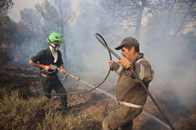 Firefighters battle forest fires in Bouira, Algeria BOUIRA, ALGERIA - JULY 21: Civil defense and firefighting teams battle flames spreading through a forested mountainous area in El Hachimia, Bouira province, on July 21, 2026 in Bouira, Algeria. Crews continue efforts to bring the forest fires under control and prevent the flames from spreading further. Hamza Zait Anadolu Bouira Algeria. Editorial use only. Please get in touch for any other usage.  Copyright: x2026xAnadoluxHamzaxZaitx