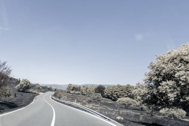 The Aftermath of the Lozoyuela Wildfire One of the areas burned by the fire, as of July 21, 2026, in Lozoyuela, Madrid, Spain. The wildfire that broke out on July 16 in the Madrid town of Lozoyuela burned 865 hectares of forest and scrubland, making it one of the most severe on record in the region. It forced the evacuation of a children’s camp and the preventive confinement of more than 2,000 residents due to the smoke. A man with a criminal record was arrested as the alleged arsonist, against whom the Community of Madrid has joined the case as a private prosecutor JULY 21, 2026 Lozoyuela, Madrid Lozoyuela, Madrid, Spain  Copyright: xRicardoxRubiox 7679141
