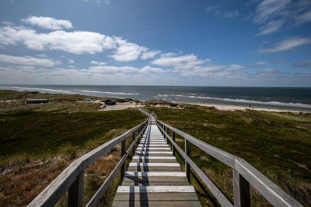 Weststrand auf Sylt 21.07.2026, List --- Ein Holzsteg führt durch die Dünen zum Weststrand auf Sylt. List Schleswig-Holstein Deutschland *** West Beach on Sylt, July 21, 2026, List: A wooden boardwalk leads through the dunes to West Beach on Sylt, List, Schleswig-Holstein, Germany