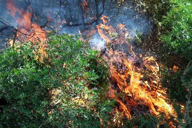 Fires in the Bouira Mountains in Algeria: Forest Service Responds To extinguish the fires in the Bouira Mountains in Algeria on July 21, 2026, According to the civil protection report, the fires are under control. Photo by Billel Bensalem, APP, Bouira, Algeria Copyright: xAPPxAlgeriexPressxPhotosxBillelxBensalemx xAPPx IMG_6423