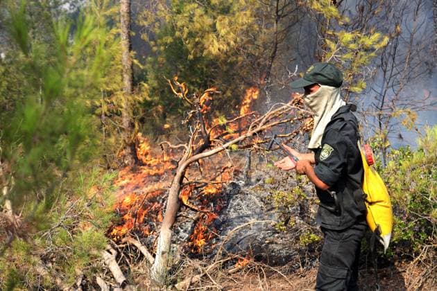 Fires in the Bouira Mountains in Algeria: Forest Service Responds To extinguish the fires in the Bouira Mountains in Algeria on July 21, 2026, According to the civil protection report, the fires are under control. Photo by Billel Bensalem, APP, Bouira, Algeria Copyright: xAPPxAlgeriexPressxPhotosxBillelxBensalemx xAPPx IMG_6440