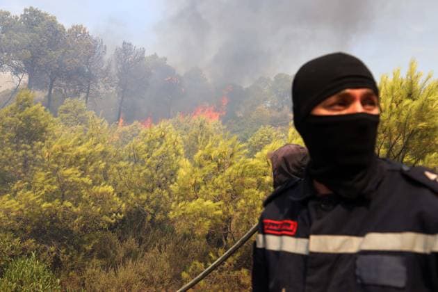 Fires in the Bouira Mountains in Algeria: Civil Defense Responds to Extinguish Fires in the Bouira Mountains in Algeria on July 21, 2026. According to the Civil Defense report, the fires are under control. Photo by Billel Bensalem, APP, Bouira, Algeria Copyright: xAPPxAlgeriexPressxPhotosxBillelxBensalemx xAPPx IMG_6486