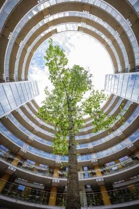 Creative Highlights World Grüner Baum wächst in einem runden Innenhof von the Alliance umgeben von Glasgebäuden, Docklands Dublin, Irland Green tree grows in a round courtyard by The Alliance surrounded by glass buildings, Docklands Dublin, Ireland Copyright: imageBROKER ManuelxKamuf ibxmlk18315096.jpg